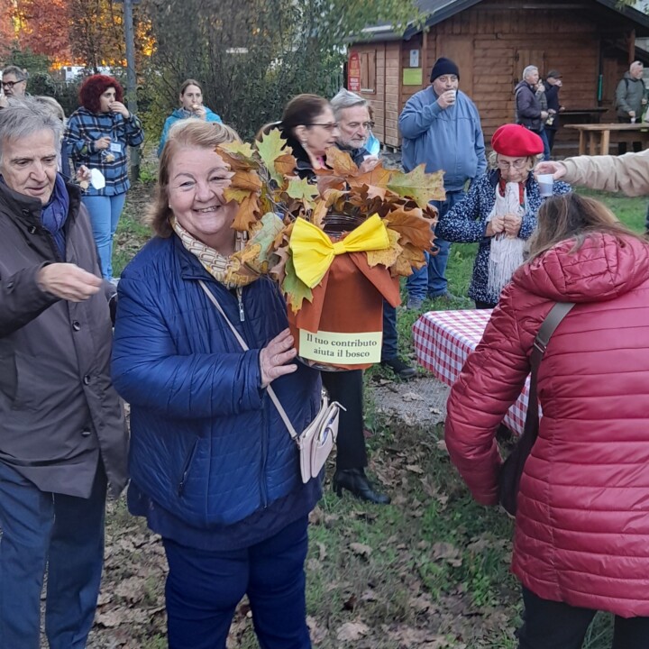giornata nazionale degli alberi nov 22