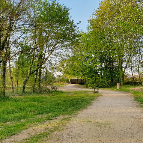Bosco5aprile2021-0010