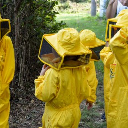 apinfesta bambini visita apiario
