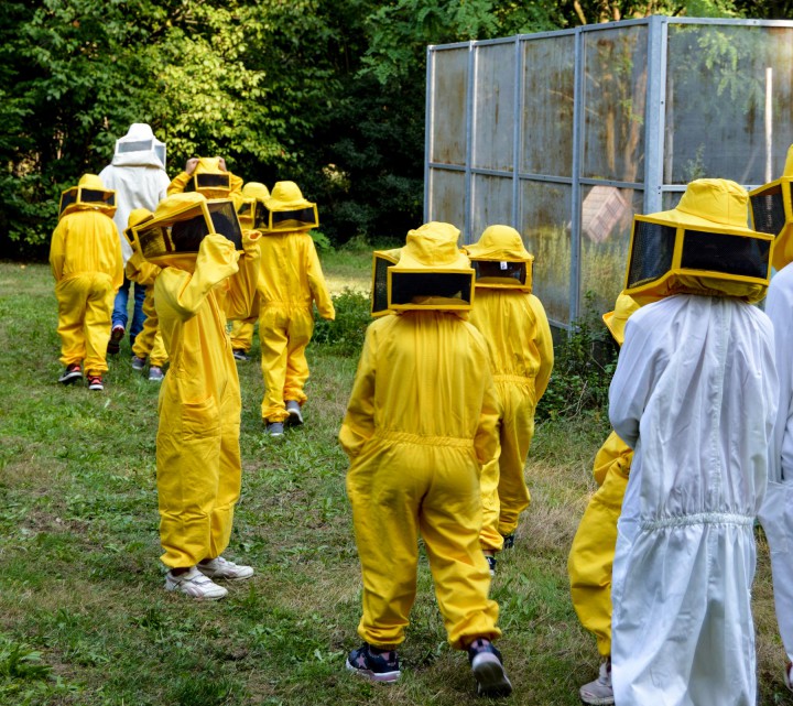 apinfesta bambini visita apiario