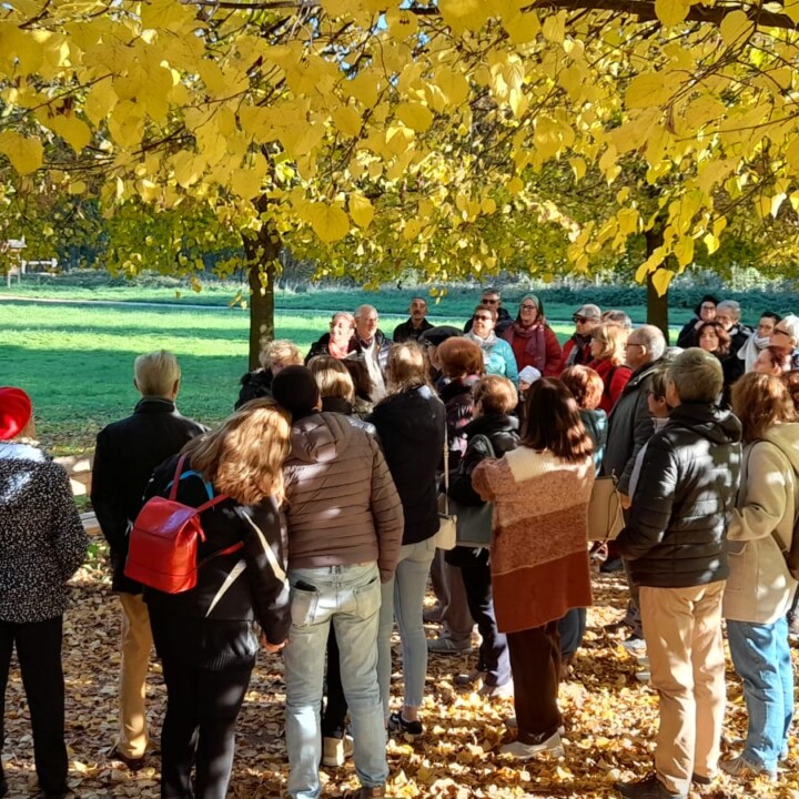 giornata nazionale degli alberi nov 22