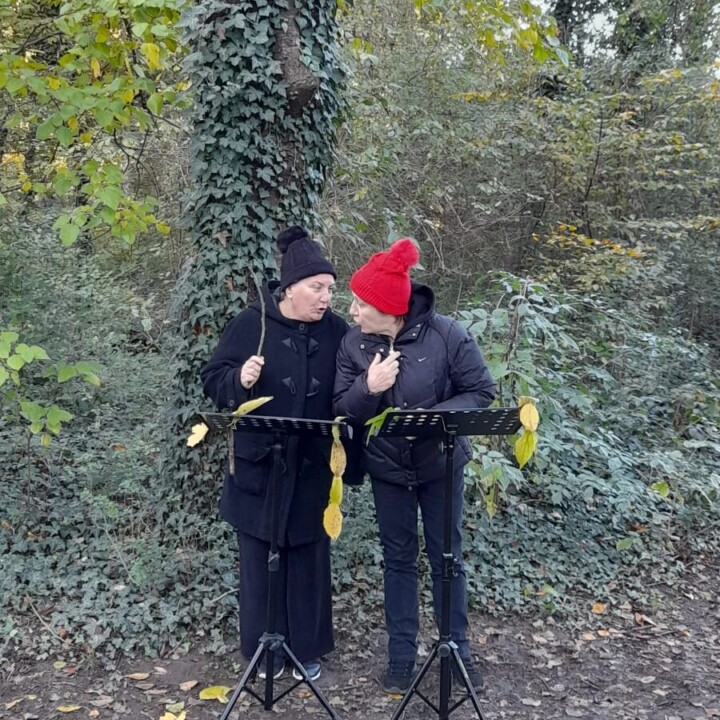 giornata nazionale degli alberi2022
