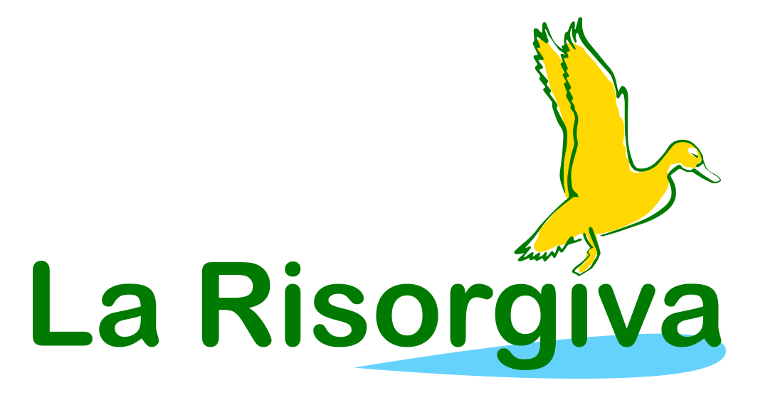 Logo La risorgiva