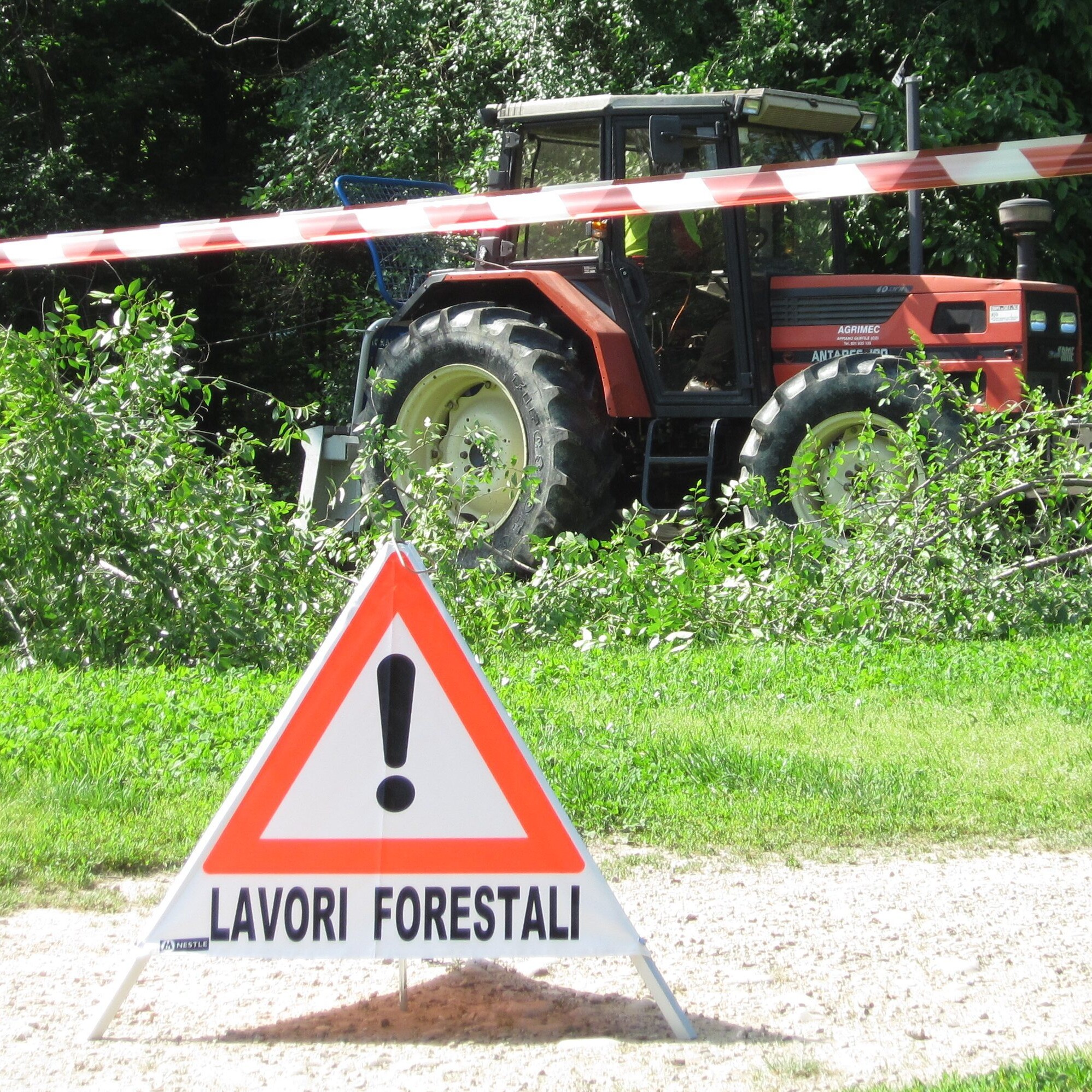 lavori al bosco